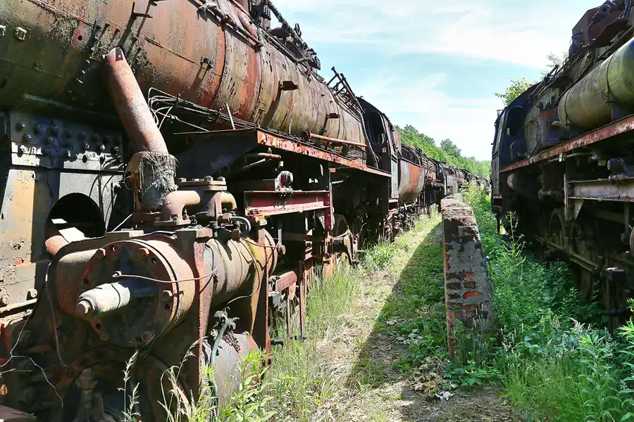 039 | 2017 | Falkenberg/Elster | Loksammlung Falkenberg | © carsten riede fotografie