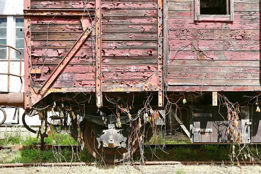 049 | 2017 | Falkenberg/Elster | Loksammlung Falkenberg | © carsten riede fotografie