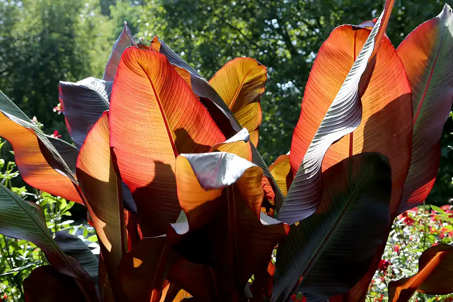 011 | 2017 | Berlin | IGA 2017 – Internationale Gartenausstellung | © carsten riede fotografie