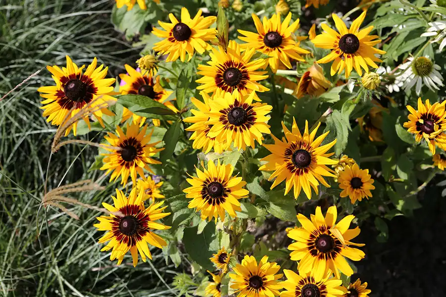 034 | 2017 | Berlin | IGA 2017 – Internationale Gartenausstellung | © carsten riede fotografie