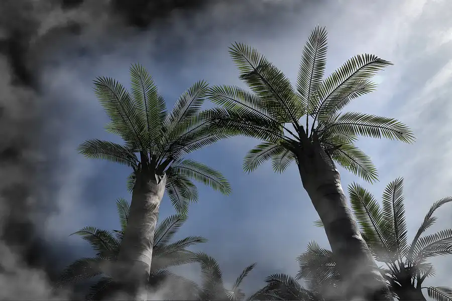 048 | 2017 | Berlin | IGA 2017 – Internationale Gartenausstellung | © carsten riede fotografie