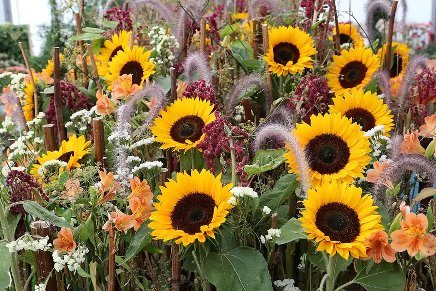 050 | 2017 | Berlin | IGA 2017 – Internationale Gartenausstellung | © carsten riede fotografie