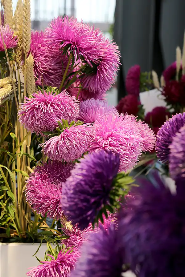 051 | 2017 | Berlin | IGA 2017 – Internationale Gartenausstellung | © carsten riede fotografie