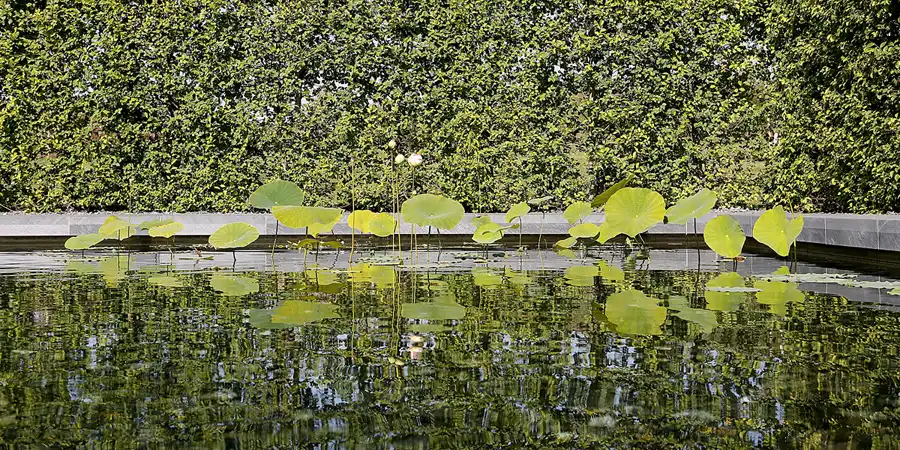 058 | 2017 | Berlin | IGA 2017 – Internationale Gartenausstellung | © carsten riede fotografie