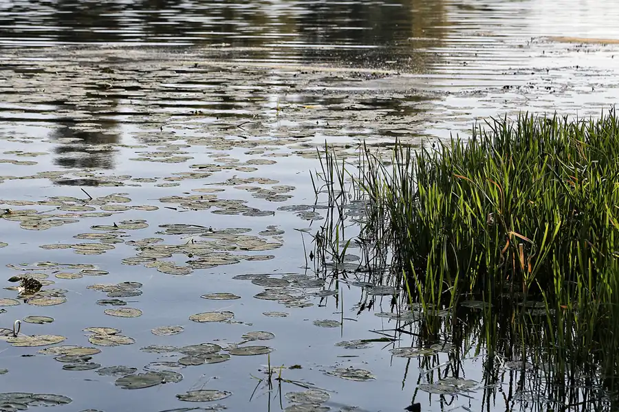 019 | 2017 | Chernobyl | © carsten riede fotografie