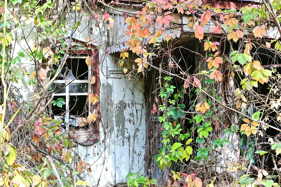 100 | 2017 | Chernobyl Zone | © carsten riede fotografie