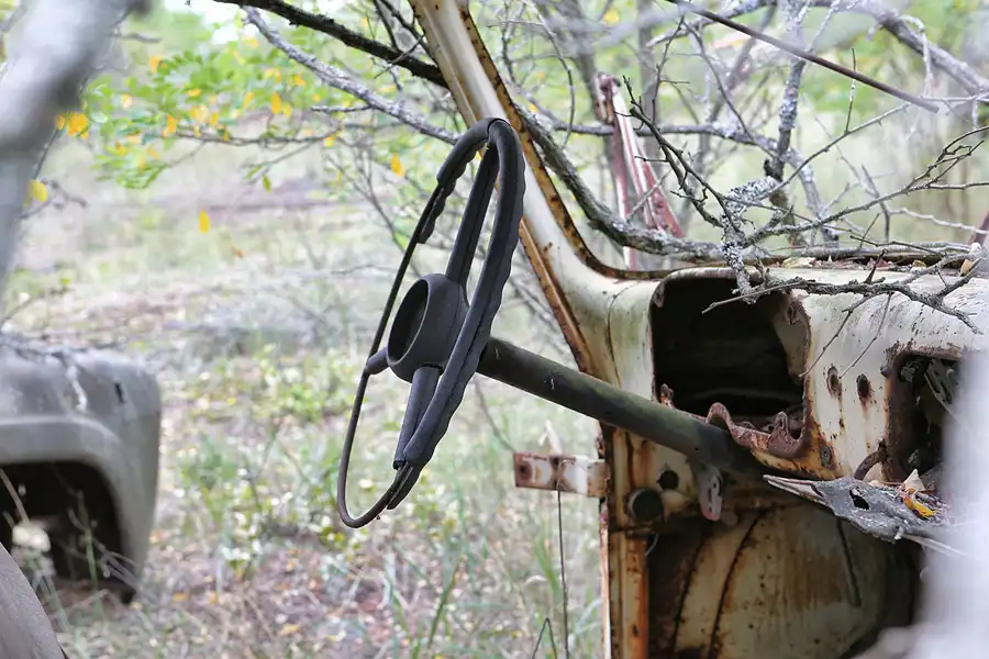 114 | 2017 | Chernobyl Zone | © carsten riede fotografie