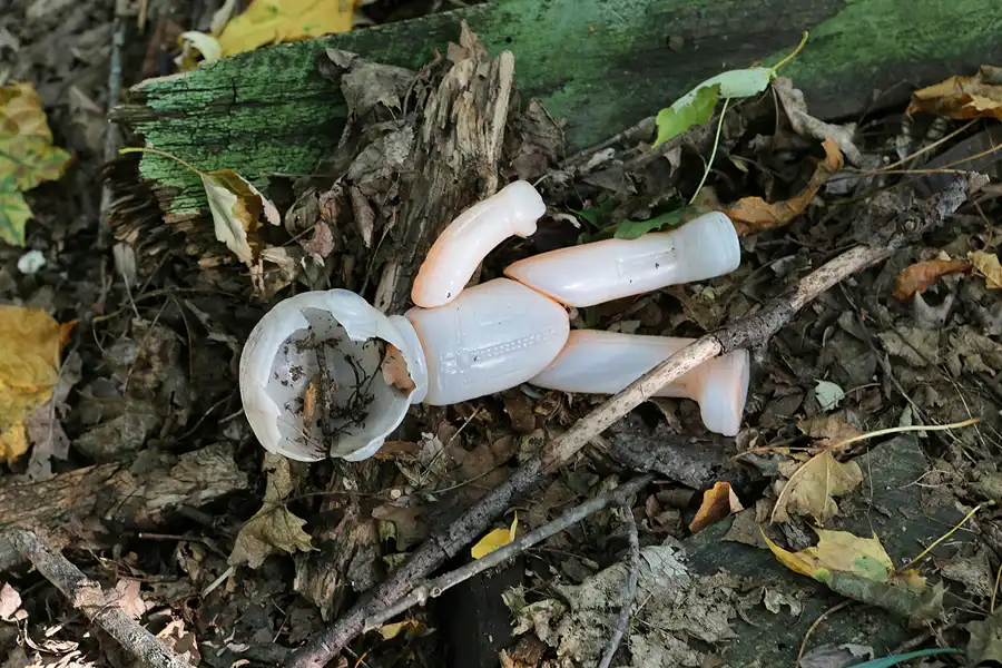 165 | 2017 | Chernobyl Zone | © carsten riede fotografie