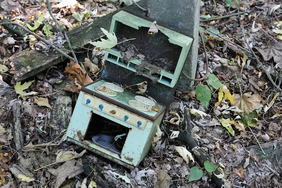 166 | 2017 | Chernobyl Zone | © carsten riede fotografie