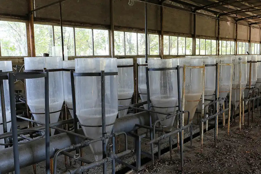 181 | 2017 | Chernobyl Zone | © carsten riede fotografie