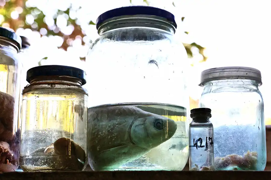 188 | 2017 | Chernobyl Zone | © carsten riede fotografie