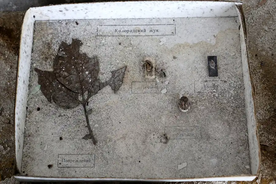 093 | 2017 | Chernobyl Zone | Duga-1 (Chernobyl-2) Radar Station | © carsten riede fotografie