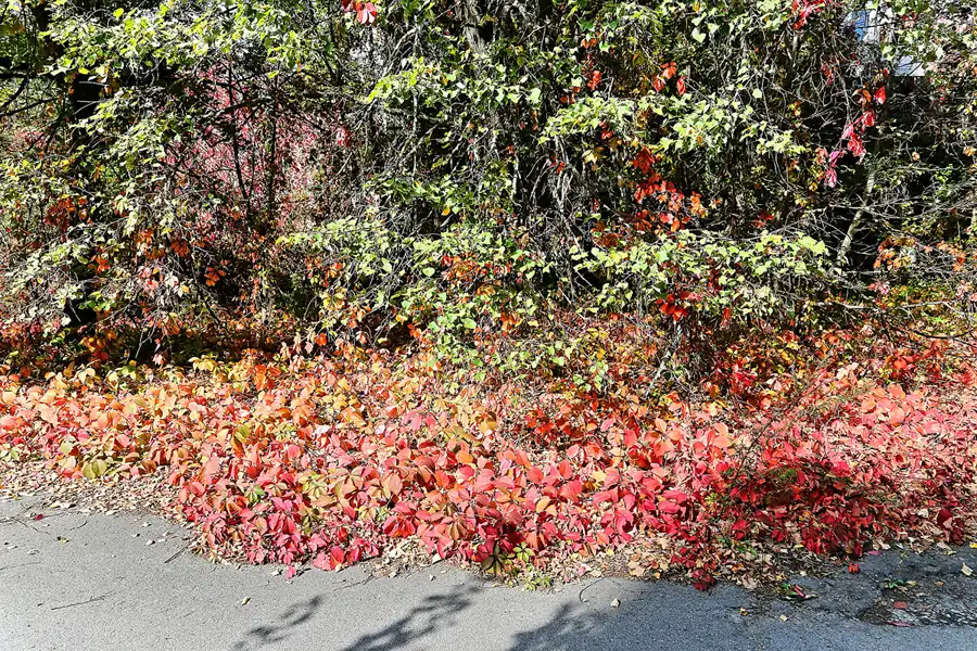 205 | 2017 | Pripyat | © carsten riede fotografie