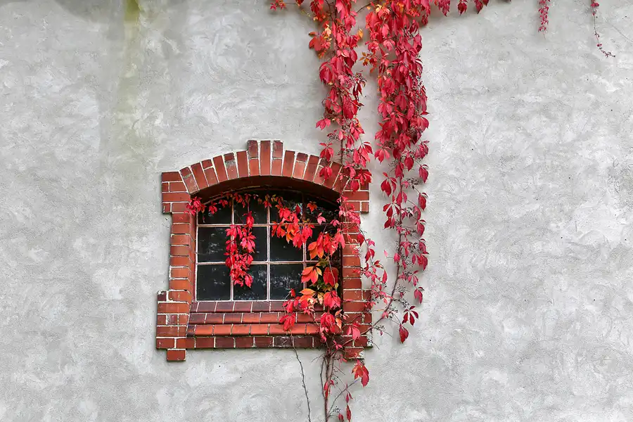 049 | 2017 | Krowiarki | Schloss Polnisch Krawarn | © carsten riede fotografie