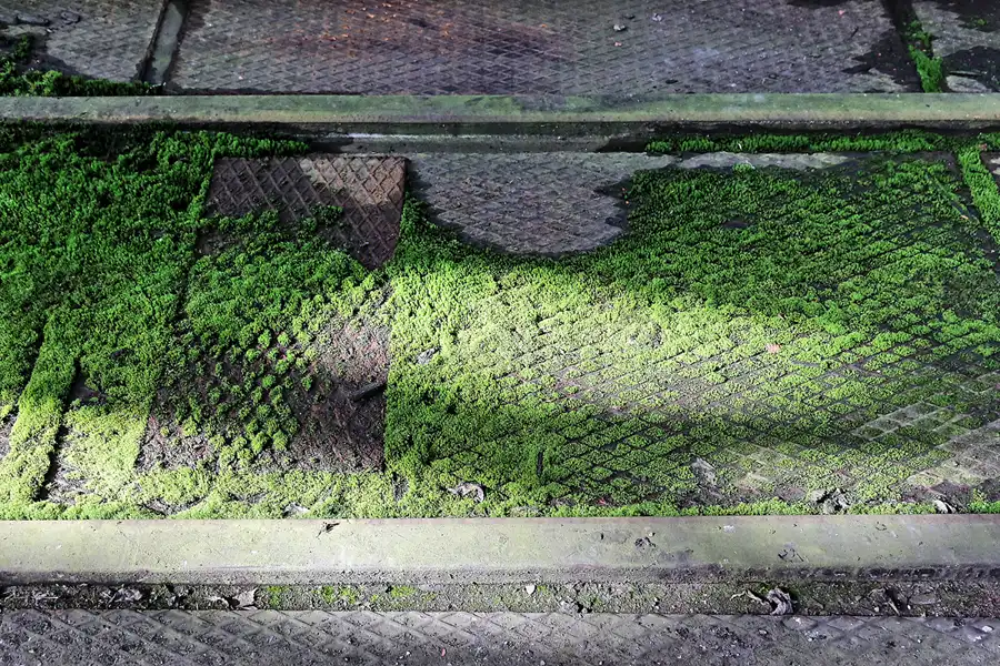 075 | 2017 | Bytom | Oberschlesische Schmalspurbahn – Reparaturwerkstätten | © carsten riede fotografie