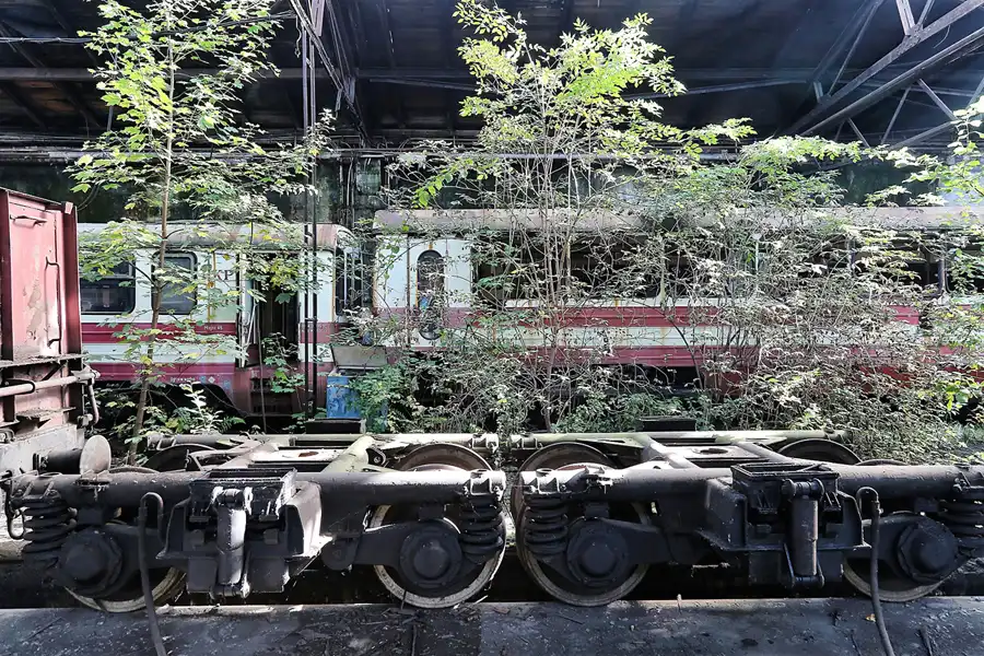 081 | 2017 | Bytom | Oberschlesische Schmalspurbahn – Reparaturwerkstätten | © carsten riede fotografie