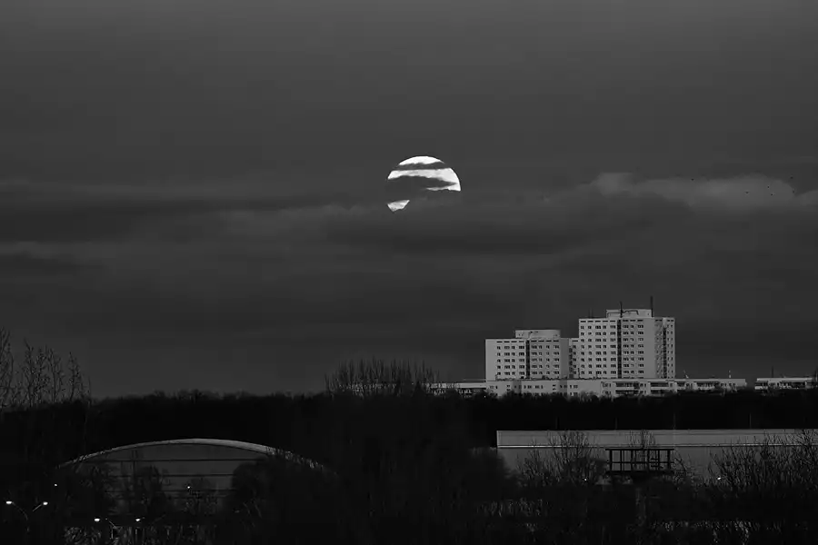 004 | 2018 | Berlin | Volkspark Prenzlauer Berg – Supermond – Blue Moon | © carsten riede fotografie