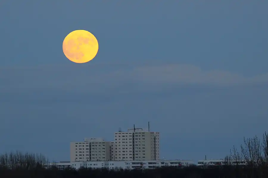 005 | 2018 | Berlin | Volkspark Prenzlauer Berg – Supermond – Blue Moon | © carsten riede fotografie