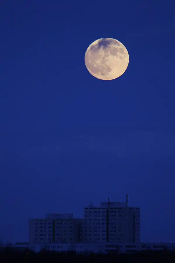 006 | 2018 | Berlin | Volkspark Prenzlauer Berg – Supermond – Blue Moon | © carsten riede fotografie