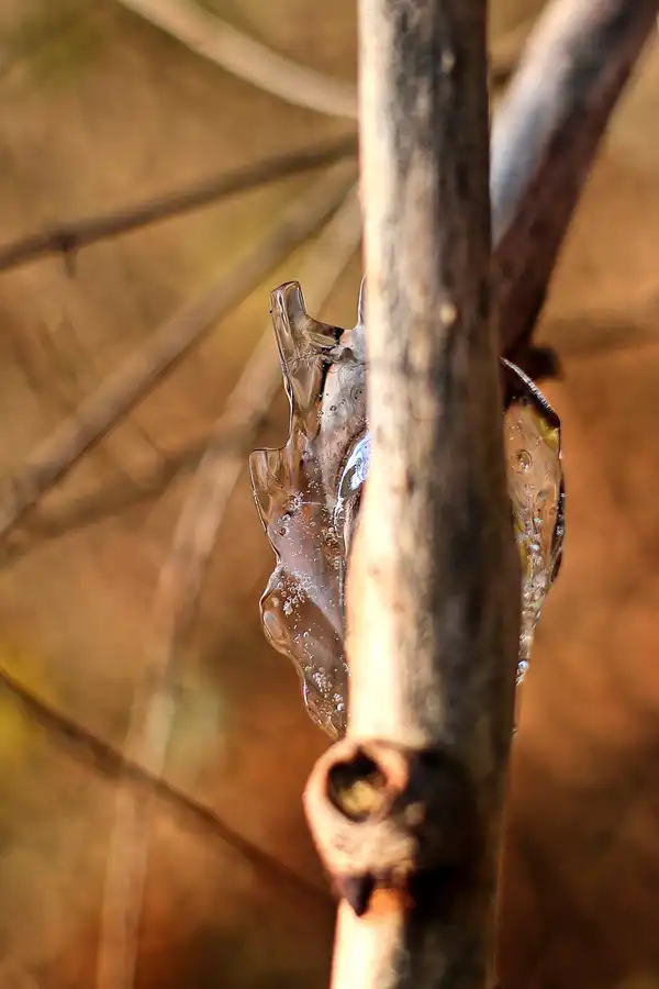 010 | 2018 | Berlin | Obersee-Orankesee-Park | © carsten riede fotografie