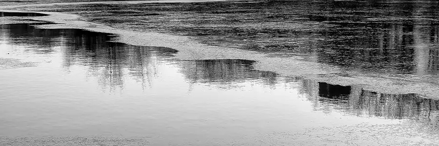 011 | 2018 | Berlin | Obersee-Orankesee-Park | © carsten riede fotografie