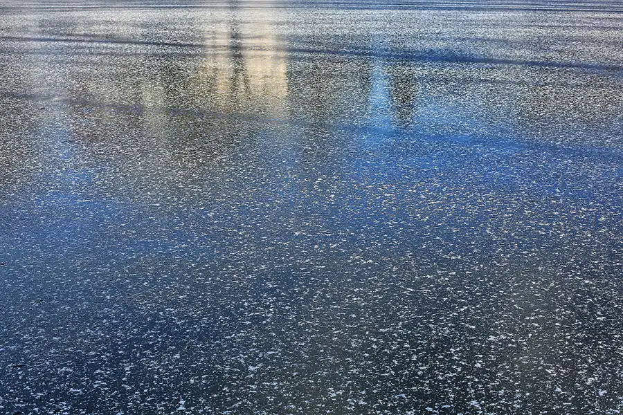 012 | 2018 | Berlin | Obersee-Orankesee-Park | © carsten riede fotografie