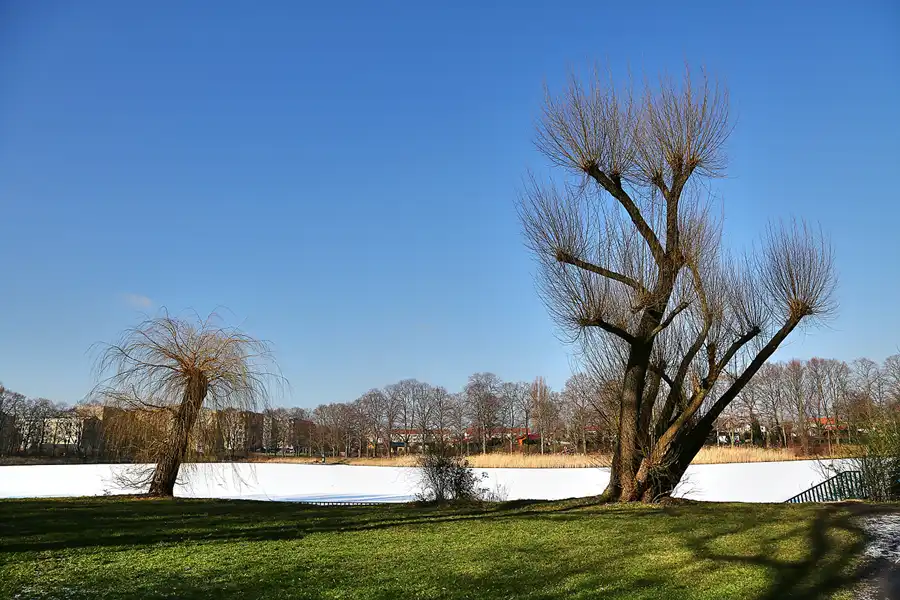 015 | 2018 | Berlin | Obersee-Orankesee-Park | © carsten riede fotografie