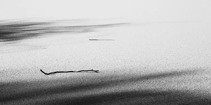 016 | 2018 | Berlin | Obersee-Orankesee-Park | © carsten riede fotografie