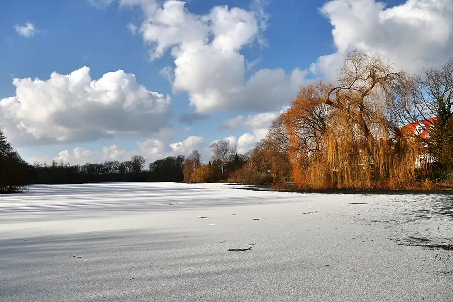 017 | 2018 | Berlin | Obersee-Orankesee-Park | © carsten riede fotografie