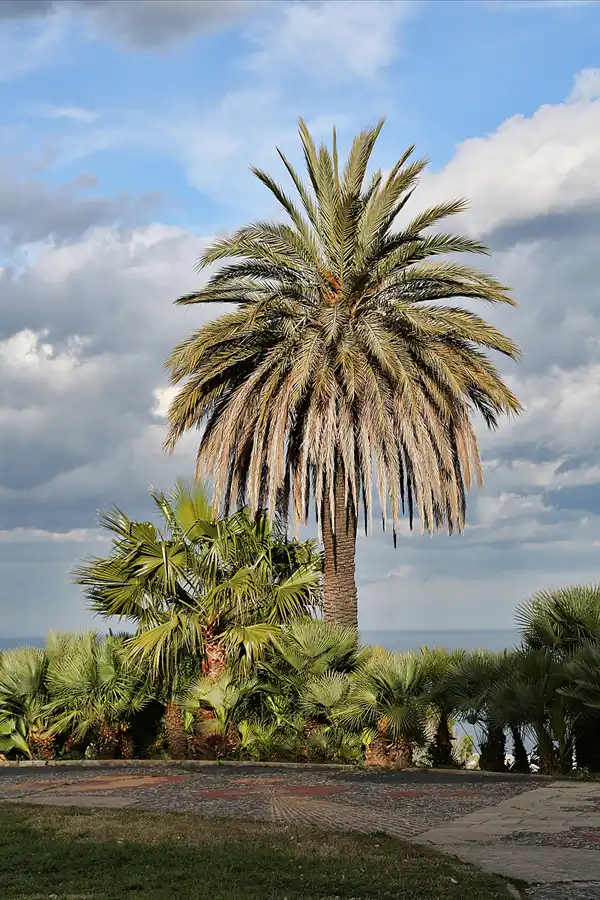 049 | 2018 | Barcelona | Montjuic | © carsten riede fotografie
