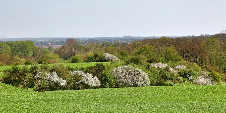 039 | 2018 | Bastorf | © carsten riede fotografie