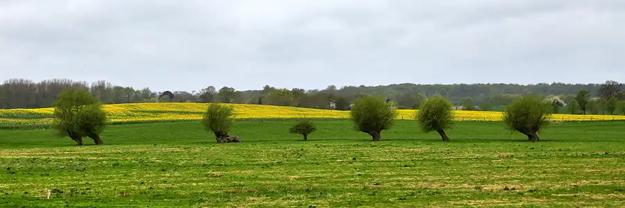 128 | 2018 | Reppenhagen – Klütz | © carsten riede fotografie