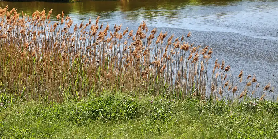 026 | 2018 | Kostrzyn nad Odrą | © carsten riede fotografie