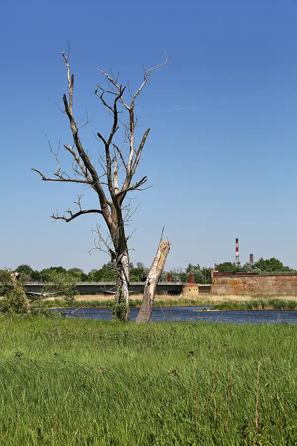 036 | 2018 | Küstrin-Kietz | © carsten riede fotografie