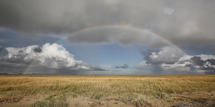 048 | 2018 | Sankt Peter-Ording | Strandparkplatz Böhl | © carsten riede fotografie