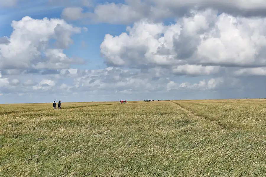 066 | 2018 | Westerhever | © carsten riede fotografie