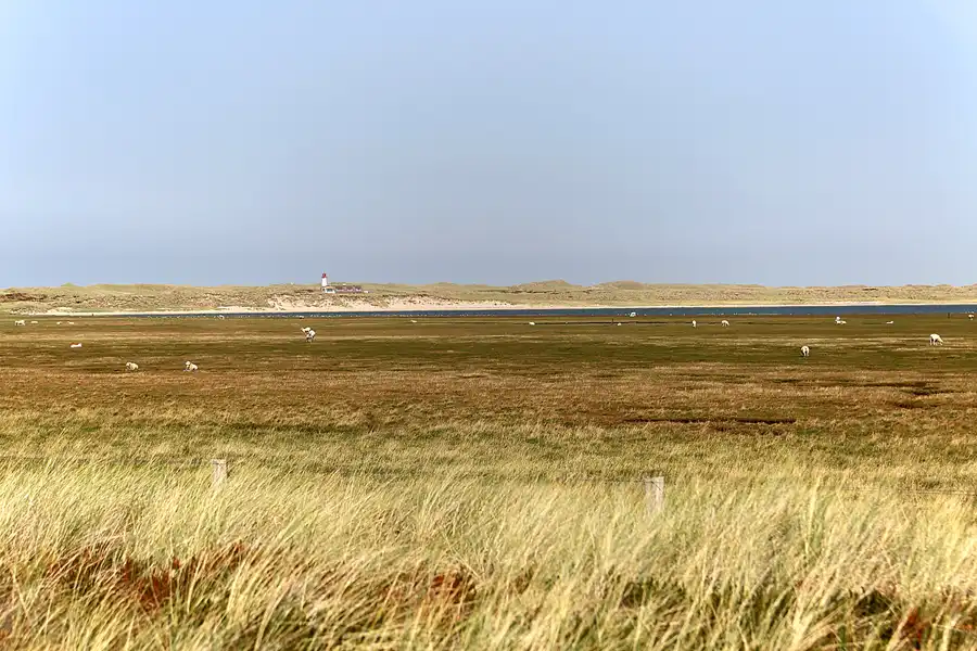 133 | 2018 | Sylt | Königshafen | © carsten riede fotografie