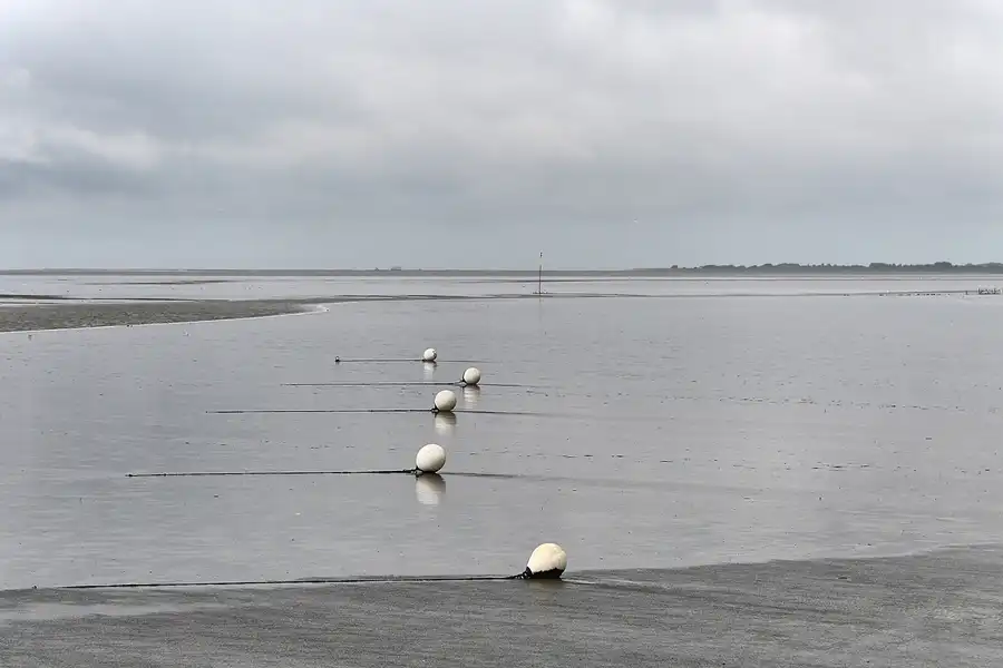 165 | 2018 | Vollerwiek | Süderdeich | © carsten riede fotografie