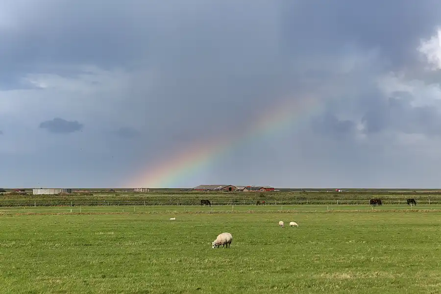 024 | 2018 | Rømø | Juvre | © carsten riede fotografie