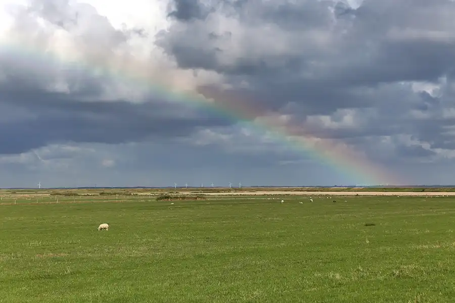 025 | 2018 | Rømø | Juvre | © carsten riede fotografie