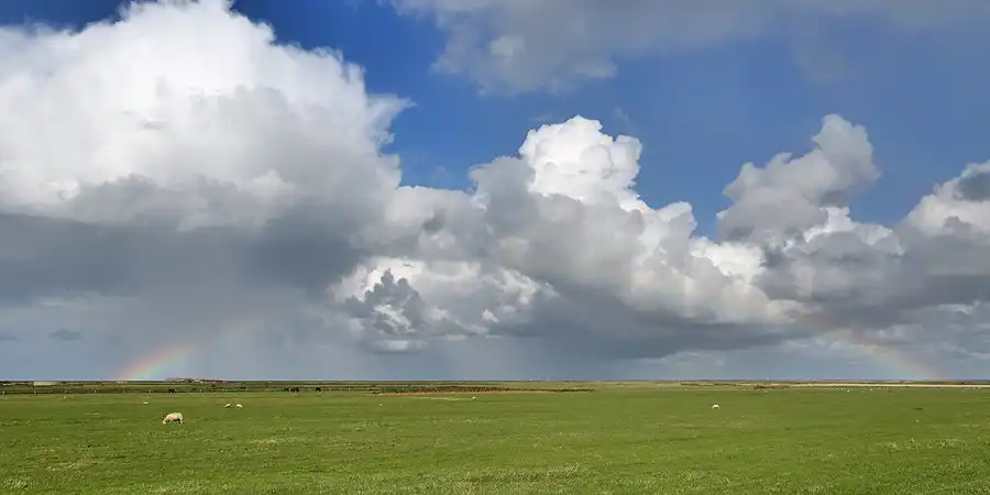 026 | 2018 | Rømø | Juvre | © carsten riede fotografie