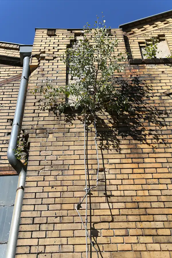 009 | 2018 | Berlin | Industriekultur in Berlin-Oberschöneweide | © carsten riede fotografie