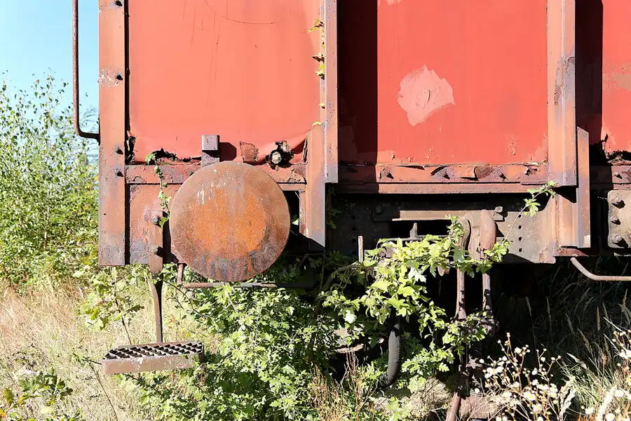 019 | 2018 | Falkenberg/Elster | Loksammlung Falkenberg | © carsten riede fotografie