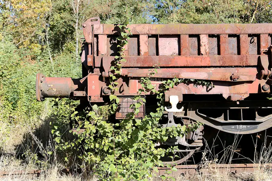035 | 2018 | Falkenberg/Elster | Loksammlung Falkenberg | © carsten riede fotografie
