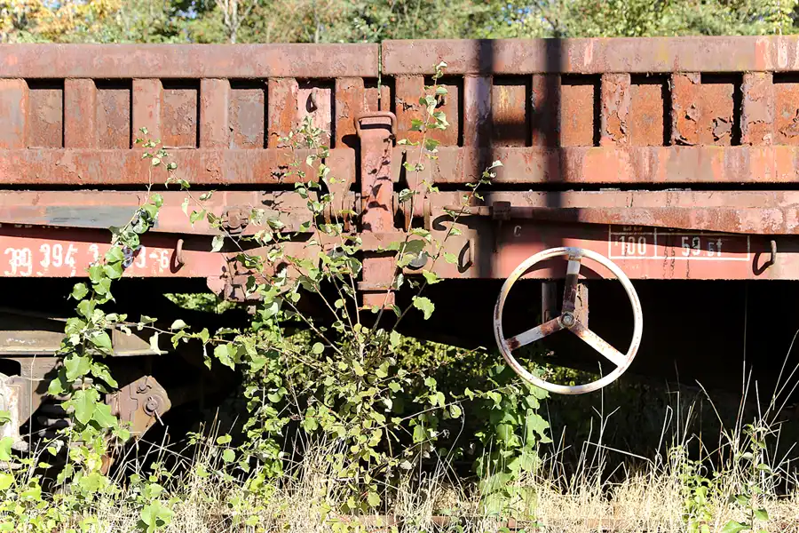 036 | 2018 | Falkenberg/Elster | Loksammlung Falkenberg | © carsten riede fotografie