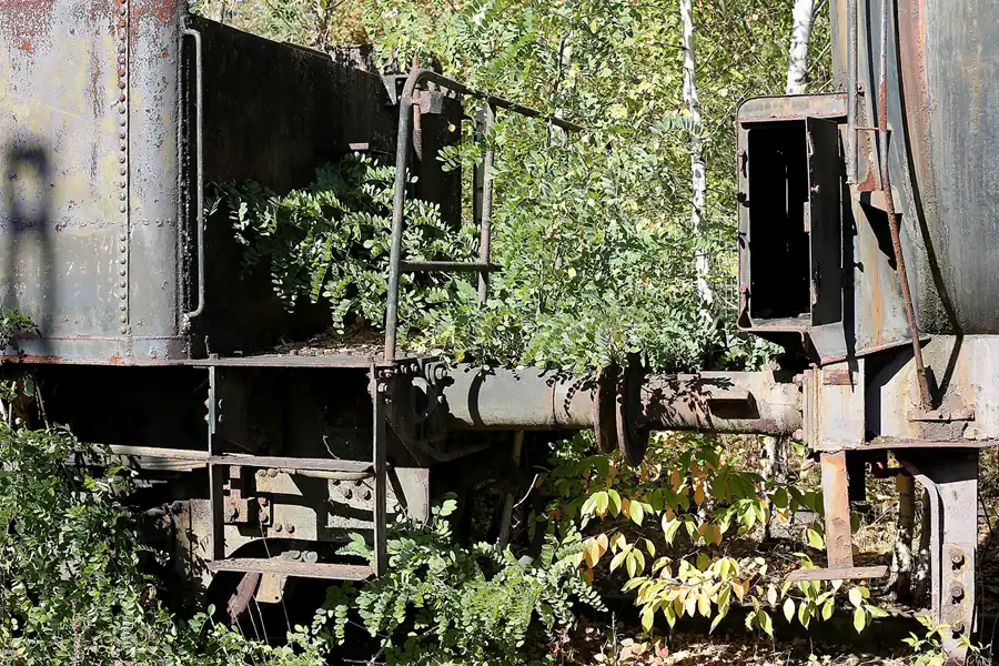 048 | 2018 | Falkenberg/Elster | Loksammlung Falkenberg | © carsten riede fotografie