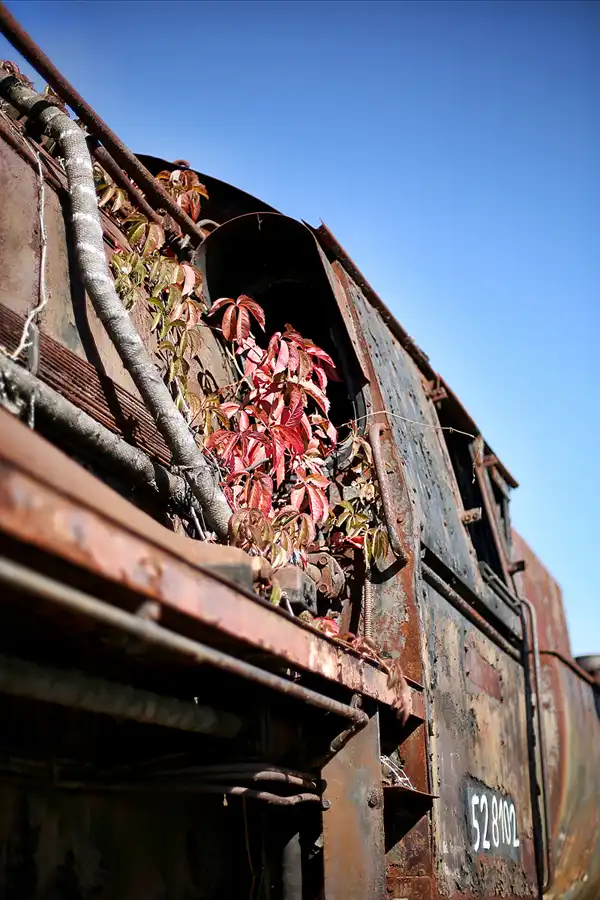 076 | 2018 | Falkenberg/Elster | Loksammlung Falkenberg | © carsten riede fotografie