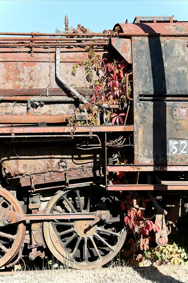 077 | 2018 | Falkenberg/Elster | Loksammlung Falkenberg | © carsten riede fotografie