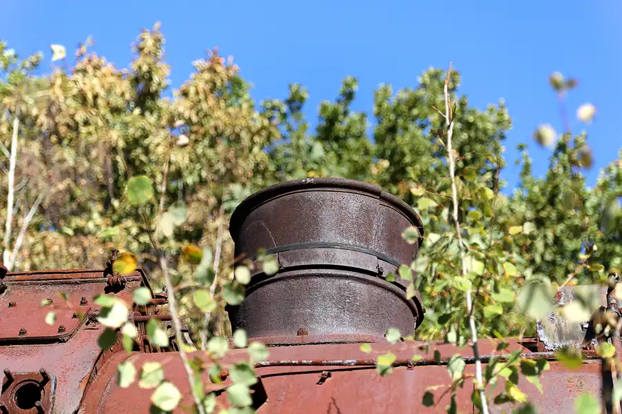 111 | 2018 | Falkenberg/Elster | Loksammlung Falkenberg | © carsten riede fotografie