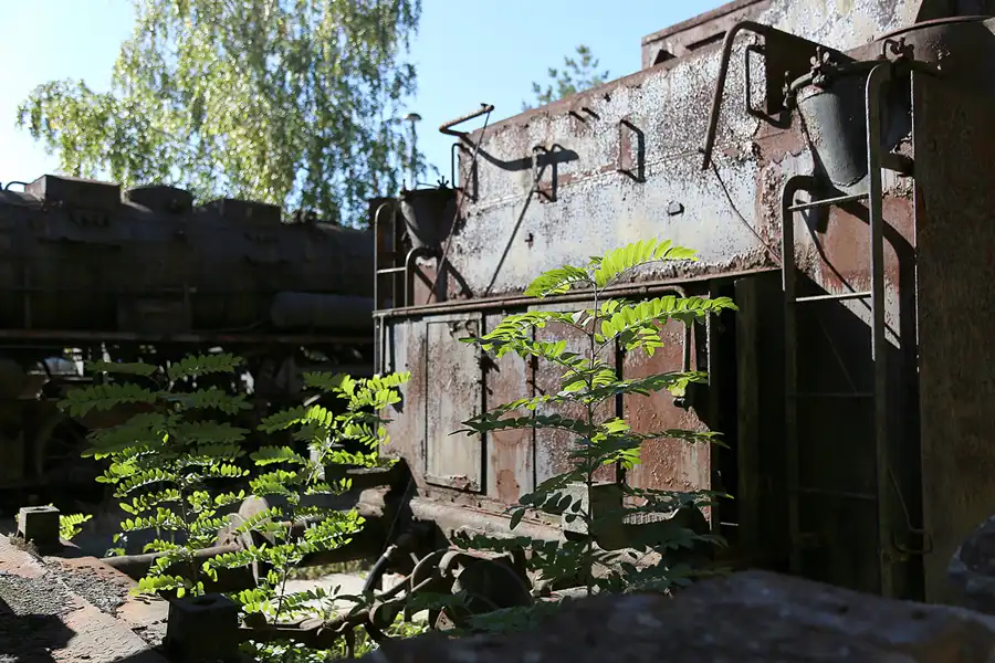 116 | 2018 | Falkenberg/Elster | Loksammlung Falkenberg | © carsten riede fotografie